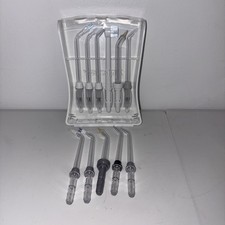 Waterpik Water Flosser Replacement Jet Tips Accessory Set Storage Case 11 Pieces