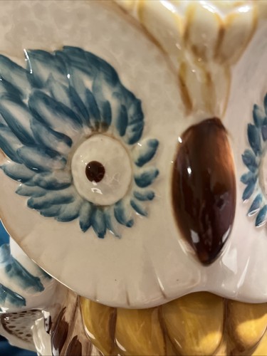 Anthropologie Wide Eyed Owl Cookie Jar HTF Hand Painted 2012 - Imagen 14 de 15