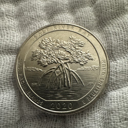 2020 P Salt River Bay America the Beautiful Quarter US Virgin Islands P
