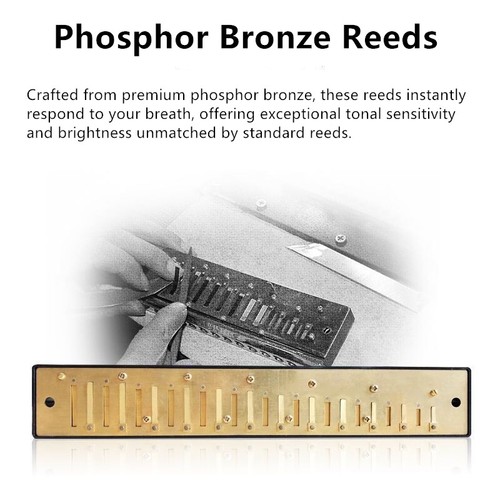 Red Swan Stainless Steel Reeds 24 Holes Tremolo Harmonica Key of C Beginner Set - Picture 7 of 12