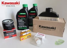 OEM TUNE UP KIT FOR KAWASAKI FR541V, FR600V ENGINES, SMALL FUEL FILTER