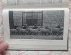 Picture 6 of 6