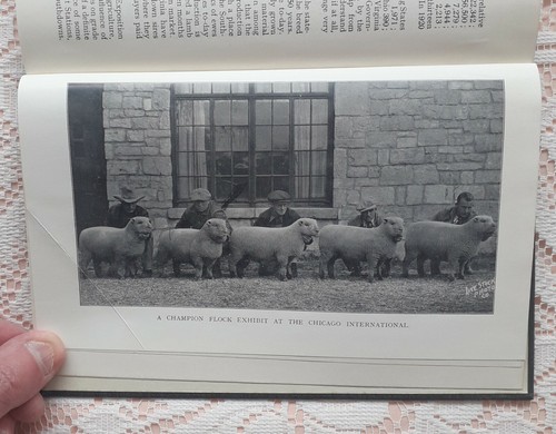THE SOUTHDOWN SHEEP EDITED BY E WALFORD LLOYD 1933 1ST EDITION - 第 6/6 張圖片