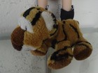 Bild 9 von 9