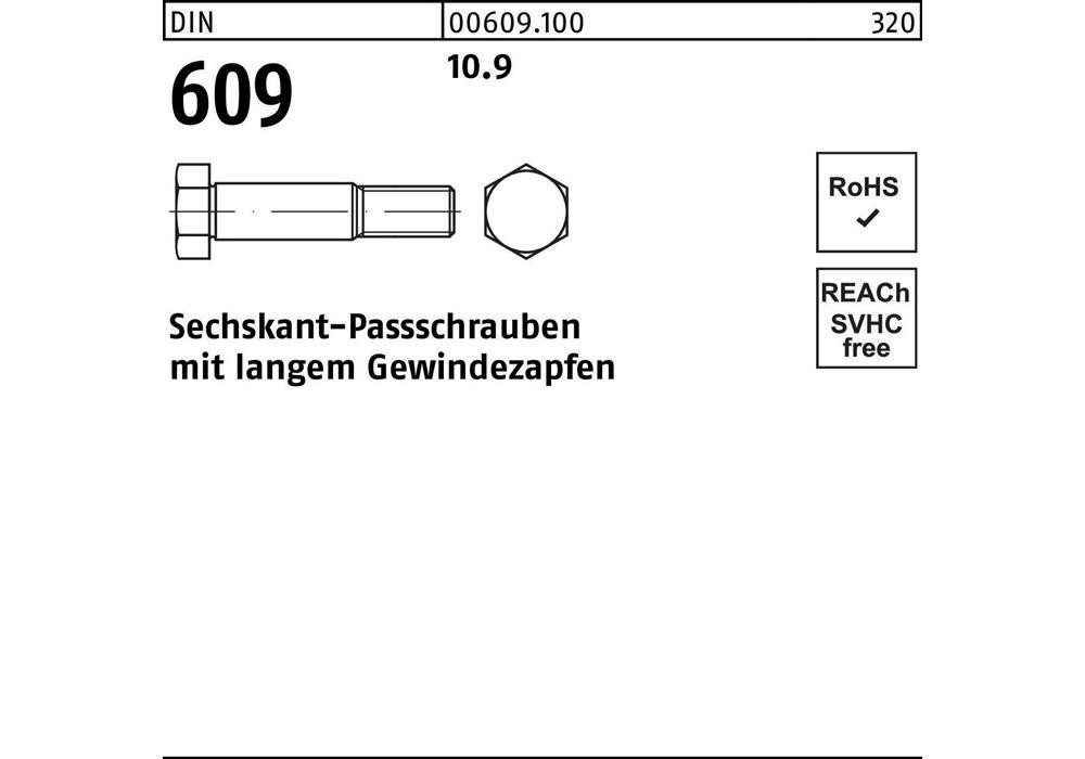 Рейхерная проходная труба DIN 609 м.langem Gewindezapfen M 10 x 40 10,9