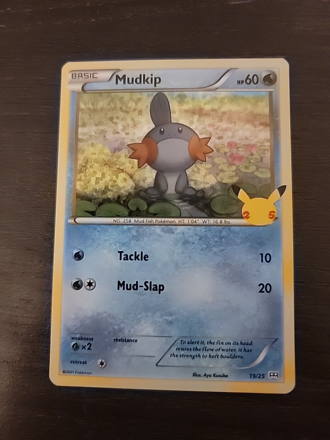 Mudkip 19/25 McDonalds Promo Holo 25th Anniversary Pokemon TCG Card