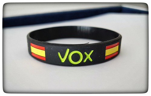 VOX PIN DE VOX PLATA DE LEY 925 ML ESPAÑA VOX ESPAÑA - Picture 6 of 6