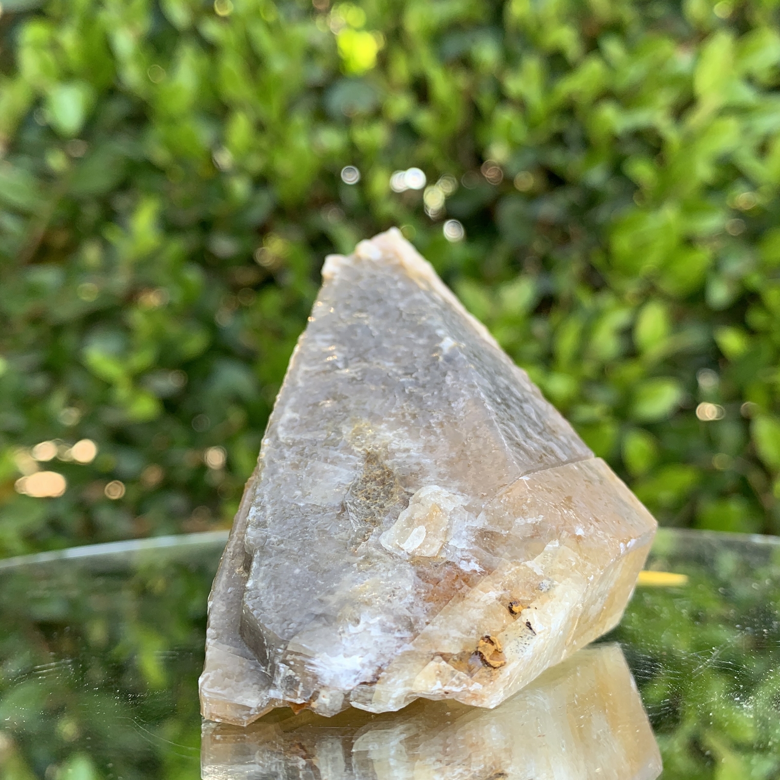 Picture 4 of 5