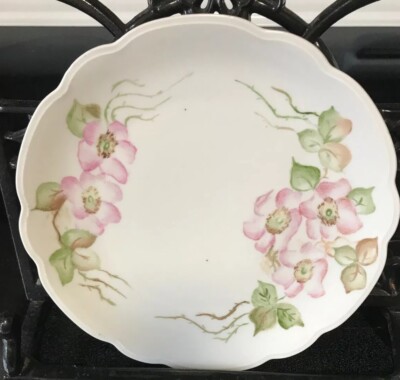 Austria MZ Moritz Zdekauer 1884-1909 Hand Painted Pink Flowers Cabinet Plate