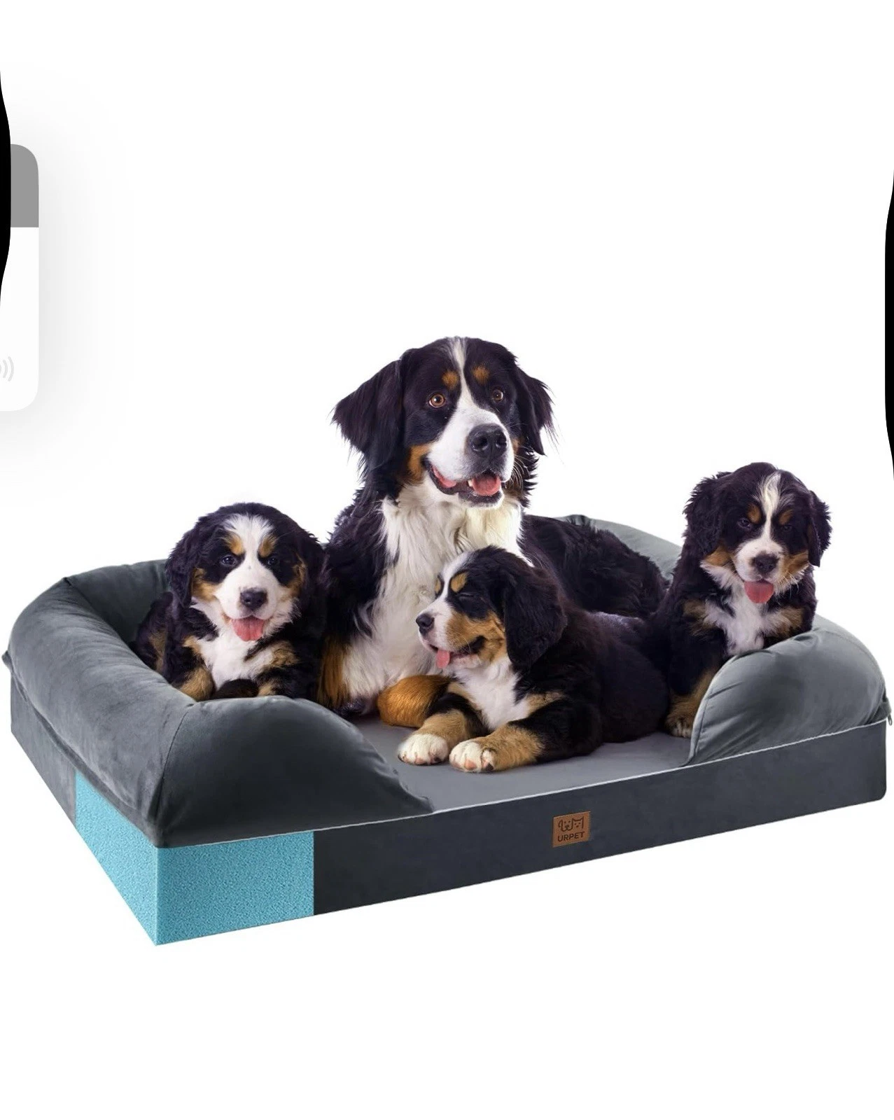 XXL Orthopedic Dog Bed - Washable Dog Couch Bed for Giant Dogs, Memory Foam Pet