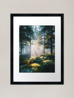 Sunrise Serenity in the Forest Fram Framed Wall Art Poster Canvas Print Picture