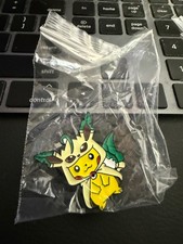 Pikachu Poncho Pokemon Enamel Pin Eeveelution Eevee Evolution