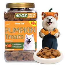 Just Try 40 OZ Pumpkin Dog Treats Biscuits Digestive Support Gut Health Training