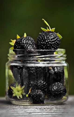 FRAGOLA NERA - BLACK STRAWBERRY, 50 SEMI + OMAGGIO - Imagen 2 de 3