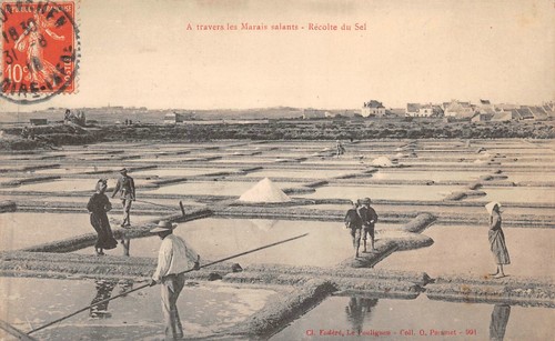 File:Salins d’Hyères - Transport du sel pour l'embarquement (A. Bougault, phot