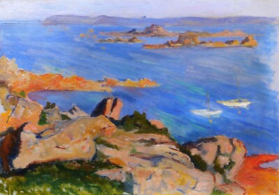 Französische öl gemälde bild Fauve Gerahmt Landschaft Bretagne Ile bréhat -nadel