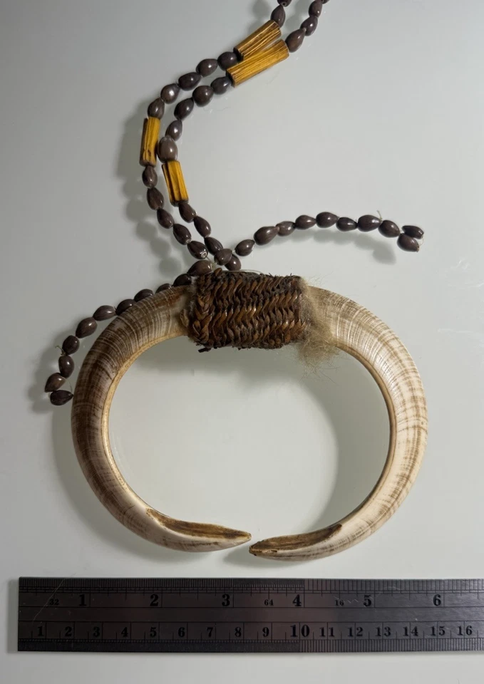 Papúa Nueva Guinea, Colmillo de Jabalí, Collar, Obra de Arte Tribal Nativa Foto 2 de 4