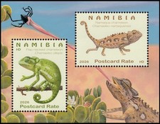 NAMIBIA 2026 REPTILES CHAMELEONS