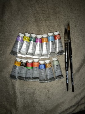 14 Windsor Newton Aquarell  14ml + 2 Da Vinci Pinsel