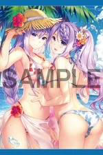 DDP Tapestry Light Novel -Spirit Fantasy- Volume 17 Gospel Of The Saint Melon Bo