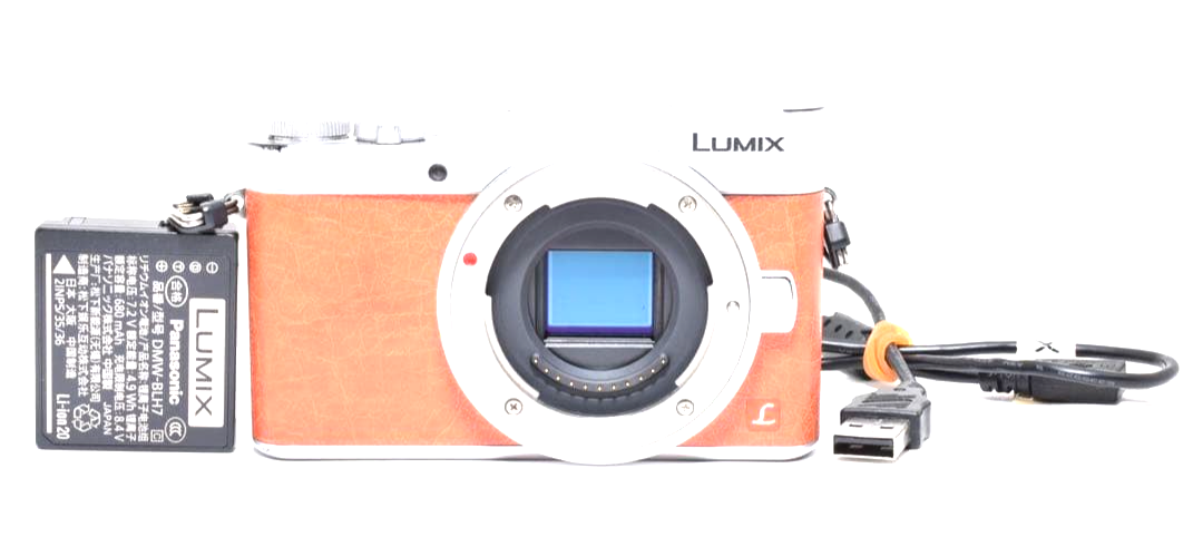 Panasonic Miralles Single-lens Camera Lumix Gf9 Double Prism Lens