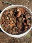 5 gallon bucket of Lake Superior agates top quality!!💎💎 — photo 7