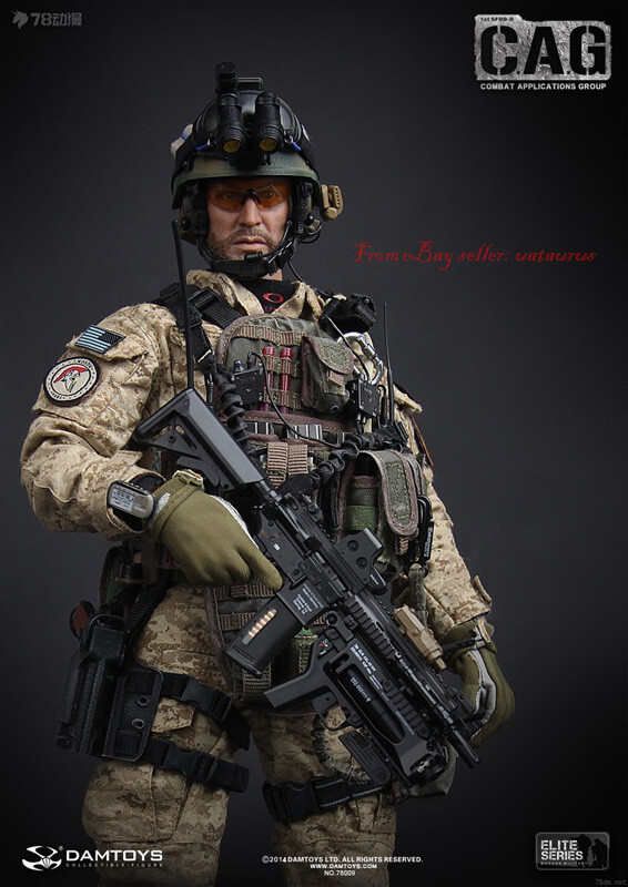 Perfect Damtoys 78009 1/6 Cag Combat Applications Group In Stock