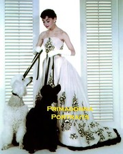 AUDREY HEPBURN 8X10 Lab Photo COLOR BEAUTIFUL GOWN & DOGS PORTRAIT