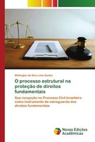 Wellington Da Silva Lima Santos | O Processo Estrutural Na ProteçãO De...