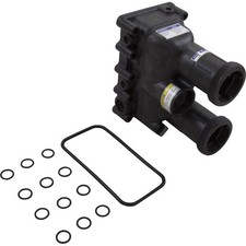 Manifold Body, Pentair Max-e-Therm SR200/333/...