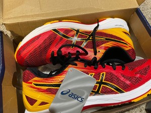 gel ds trainer 22