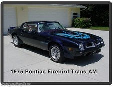 1975 Pontiac Firebird Trans Am Auto Car Refrigerator Tool Box Magnet