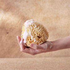 Natürlicher Meeresschwamm – 2 Stück, Je Ca. 12 Cm, Aus Dem Mittelmeer, Superweich & Saugfähig