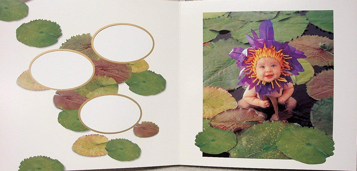 Anne Geddes Photograph Album - Baby Book - Hardcover | eBay