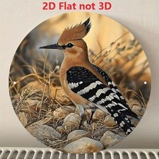 Blechschild rund Wiedehopf Vogel Vintage Metallschild TEL4306