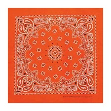 Neon Bandannas, 22in x 22in, Made in India, Hav-A-Hank, Single Side Print
