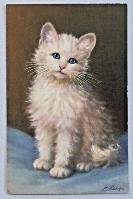 Cute Fuzzy White Kitten Artist Signed A. Lampe Switzerland DB Art Postcard 8100