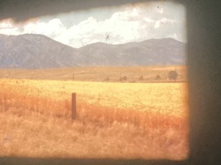 16mm Home Movies Beautiful Western Roadtrip 500’ Great Color