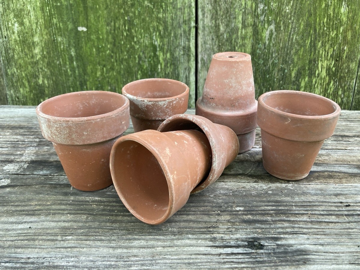 Lot Of 7 Mini Clay Flower Pots 2.75 Garden Collection Terracotta Plant Pots  | eBay