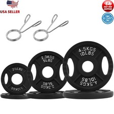 35-Pound Classic Cast Iron Weight Plates Set for Strength Training 2-Inch