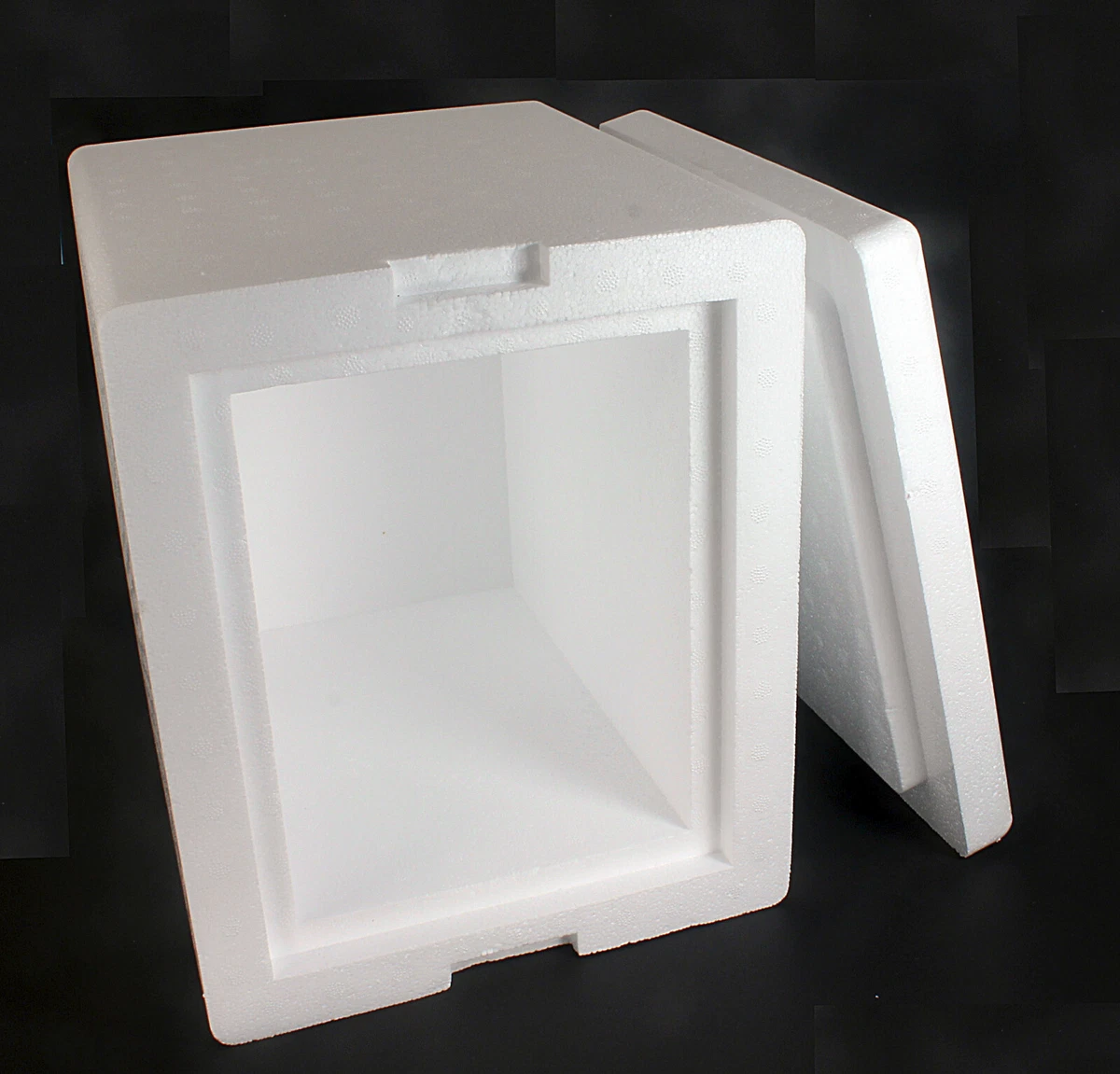 Disposable cooler cheap