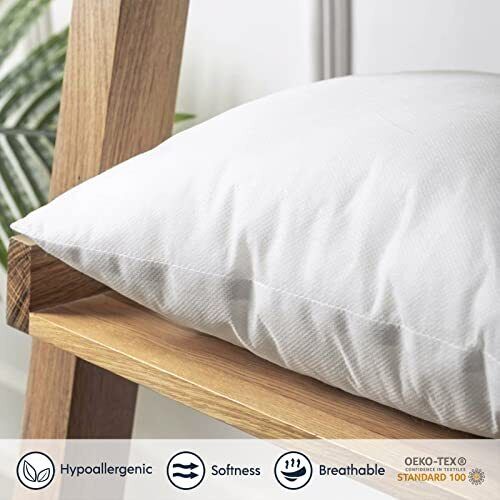 Outdoor Pillow Inserts Waterproof 20 x 20 Throw Pillow Inserts for Couch -  Set o