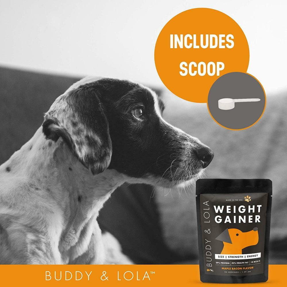 Buddy & Lola Weight Gainer for Dogs (90 Servings) Healthy Gainer... eBay