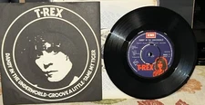 NM/NM • T. REX DANDY IN THE UNDERWORLD/Groove a Little/Tame 45 Picture Sleeve
