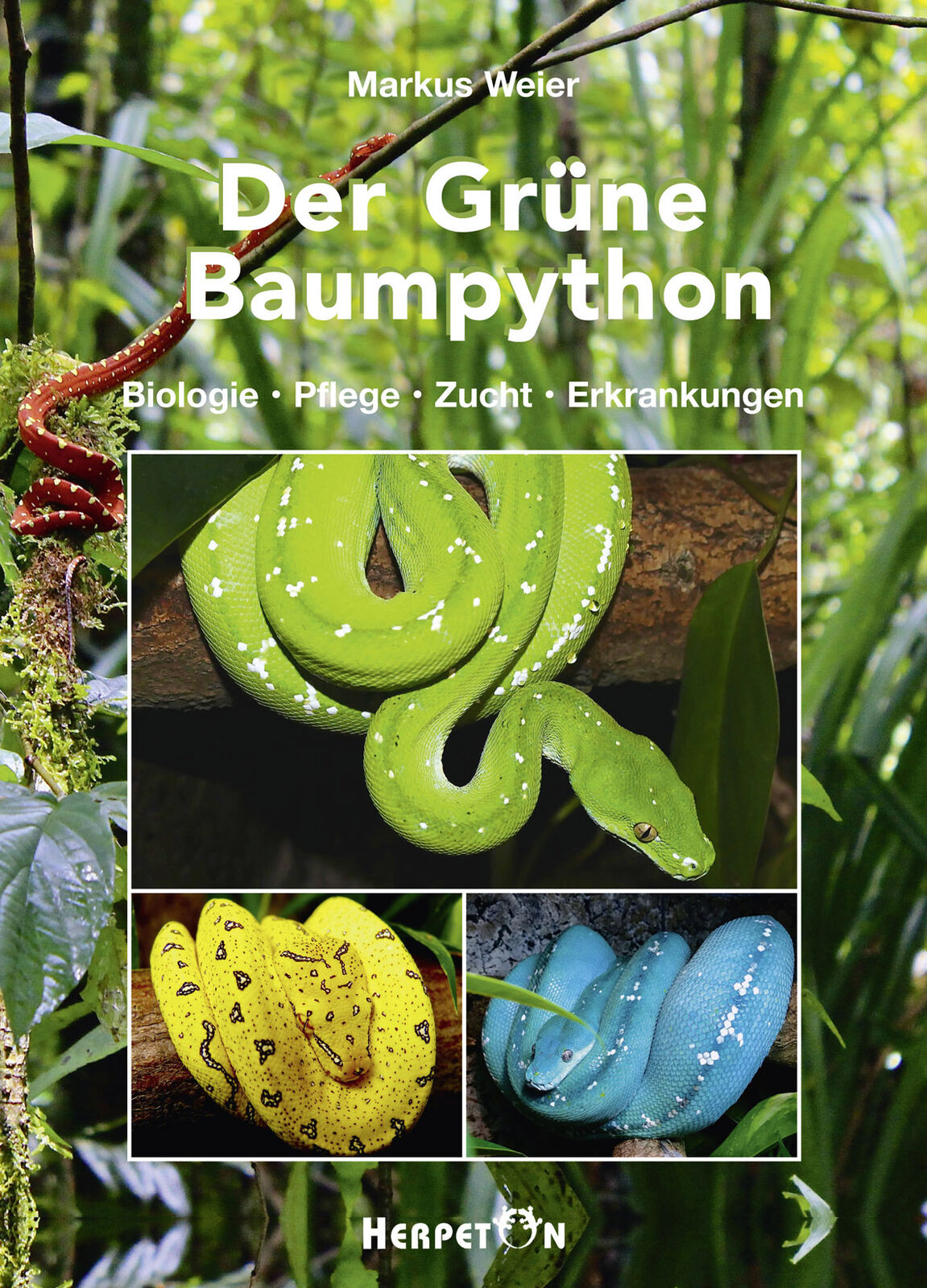 Thumbnail - Markus Weier / Der Grüne Baumpython