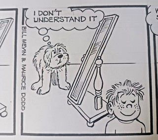 Original artwork cartoon THE PERISHERS Mevin & Dodd N144 June 17(th) mounted