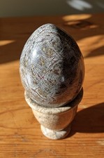 Cornish Serpentine Crystal Egg + Fossiliferous Marine Egg Cup - 78 X 57mm - 306g