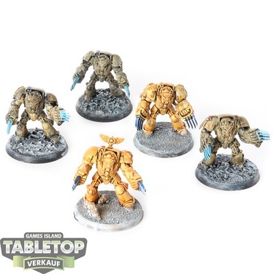 Dark Angels - 5 Deathwing Terminator Squad klassisch - teilweise bemalt