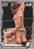 2022 Upper Deck AEW Anthony Bowens Trading Card