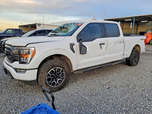 Wheel 18x8-1/2 Aluminum 6 U Spoke Fits 22-23 FORD F150 PICKUP 5381011 - Picture 14 of 24